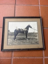 Vintage 1900s Silver Gelatin Photo B&W Framed Horse Equestrian Print Read picture