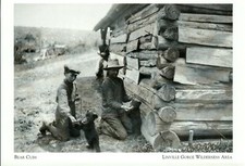 *North Carolina Postcard-*Bear Cubs held by 2 Men, 1908- *Linville Gorge- {G79} picture