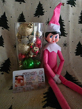 The Elf on the Shelf Pink Girl Doll w/ Santa's Driver's License picture
