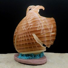 Zuni Fetish-Native American Animal Carving-Large Shell EAGLE-Daniel Chattin picture