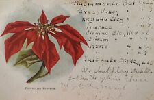 1906 Poinsettia Blossom Sacramento California Postcard CA Vintage Los Angeles picture