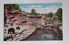 St Louis MO-Missouri, Bear Pit in Forest Park Vintage Souvenir Postcard picture