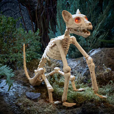 Halloween Classics Animated LED Skeleton Cat picture