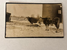 Plainfield WI Antique RPPC 1915 George Davis Cows & Silo Farm picture