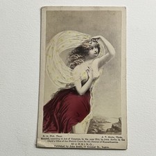 Antique CDV Album Filler Photograph Illustration Beautiful Woman Morning Tinted picture