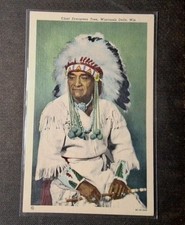Postcard Wisconsin Dells WI Indian Chief Evergreen Ceremonial Dress picture