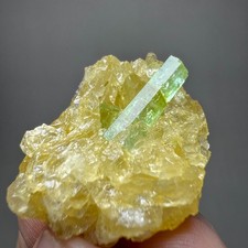 56ct Fully Terminated Lustrous Emerald Crystal on Quartz, Natural Specimen, PAK picture