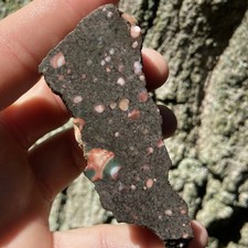 Amazing Thomsonite Michigan Lapidary Rough Agate Eyes 3.41 Oz picture