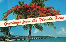 Florida Keys, Bahia Honda Bridge, Royal Poinciana Tree, Vintage Postcard picture