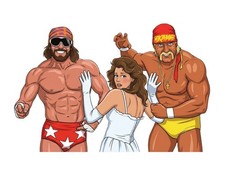 WWE Mega Powers Hogan Savage Wrestling Water Resistant Sticker WWF WCW AEW NXT picture