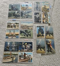 Rare Vintage Deep Sea Diver Postcards Tropical Florida Sponges Sharks Sea Life picture