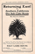 1905 print ad SALT LAKE ROUTE Southern California Palm Tree Returning East picture