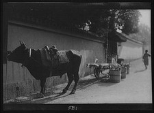 Photo:Japan 1908 Ox Cart Street Wall Arnold Genthe Travel View picture