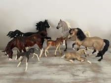 Breyer Color Crazy Treasure Hunt 2008 Full Set White/Sabino Variation picture