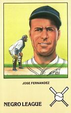 Jose Fernandez Negro League Baseball Player Susan Rini Artwork Postcard picture