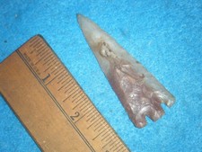 2 3/4 in. INDIAN ARROWHEAD HERNANDO FROM PASCO CO. FLORIDA CORAL picture