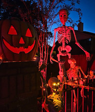 Halloween Skelly Prop Decoration ( Friday the 13th Mask ) ( Not Painted ) picture