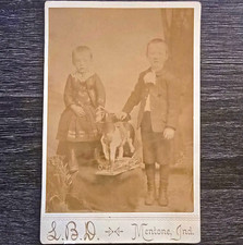 Antique Cabinet Card Children With Toy Horse Mentone Indiana Victorian Photo picture