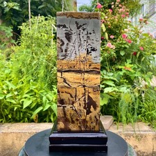 16.64LB Large Natural Chinese Dendritic Limestone Picture Stone Guohua column picture