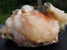 1.5 LB Superb Natural Apophynite Mineral Specimen - India picture