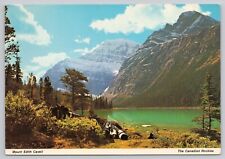 Jasper Alberta Canada Mt Edith Cavell Lake Mount Sorrow Rockies Vintage Postcard picture
