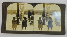 Vintage Keystone Stereoview Company Stereoview Card 12343 Children Animals picture