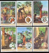 1941 Liebig Nuttige Planten van Kongo Complete 6 Card Set Belgium S1434 picture