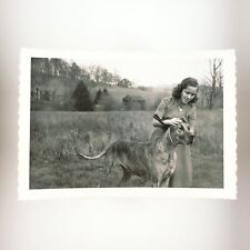 Holding Great Dane's Ears Photo 1950s Olympia Washington Pet Dog Girl B3055 picture