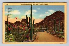 Tucson AZ-Arizona, Tucson Mountain Park, Antique, Vintage c1946 Postcard picture