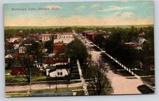 Sturgis Michigan~Birdseye Homes~Backyards~Businesses on Street~1913 PC picture