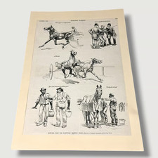 Harpers Weekly Sketches From Fleetwood Trotting Tracks Horses Oct 6 1888 V picture