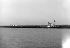 original photo negative 2 1/4 x 3 3/4