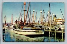 San Francisco, CA, Fisherman's Wharf, Postcard picture