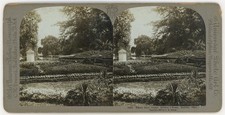 OHIO STEREOVIEW - Dayton - Soldiers Home - Flowers - CH Graves c1900 picture