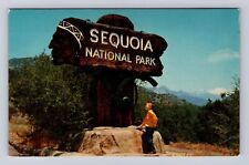 Sequoia National Park, Entrance To The Park, Vintage Souvenir Postcard picture