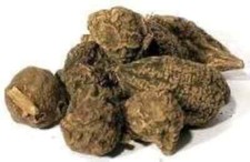 Bulk Herbs: High John the Conqueror Root 1 oz ✨ picture