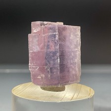 SS Rocks - Villiaumite Crystal (Khibiny Massif, Murmansk Oblast, Russia) 6.67g picture