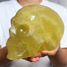 8.44lb Large Natural Citrine Quartz Carved Skull Crystal Reiki Healing Gem gift picture