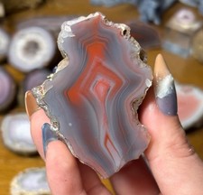 Queensland Creek Agate • Natural Australian Banded Stone • picture