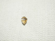 LA Sertoma International Gf Service Award Pin picture