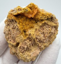 Gorgeous Orange Mimetite xtls from the Black Forest, Germany picture