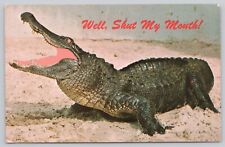 Postcard Alligator Comic Southern Hospitality FL picture