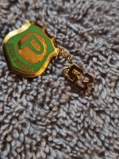 PARK HIGH SCHOOL (Cottage Grove, MN) Class of 1953  Double Pin Lapel W/ Chain picture