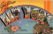 NEW YORK Large Letter Postcard State Capitol & Pasture Rose Flower Tichnor Linen picture