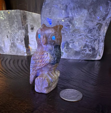 Carved Stone Owl Native American Zuni fetish turquoise picture
