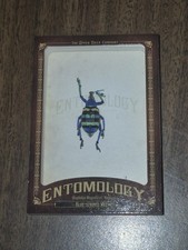 2011 Goodwin Champions Entomology Blue-Striped Weevil ENT8 Artifact picture