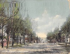 Monett Missouri Street View Houses Postcard picture