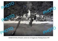 OLD 8x6 PHOTO BRISBANE QLD MORETON ISLANDS TANGALOOMA WHALING STATION 1955 picture