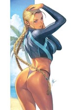 2025 Street Fighter & Friends Swimsuit Special • Homare Exclusive Cammy Variant picture