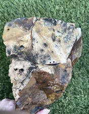 12.9 lb Biggs Picture Jasper Lapidary Rough from Biggs, Oregon picture
